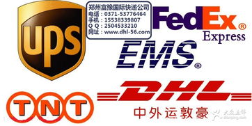 富豫國(guó)際快遞 鄭州生活服務(wù)的裝卸搬運(yùn)專(zhuān)家